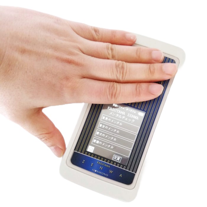 数霊ZENWA KS-ZENWA I.H.M.ドルフィン 数霊セラピー 本物研究所