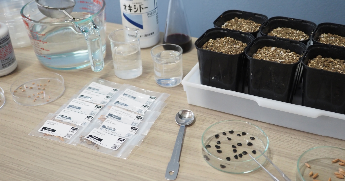 SEEDSTOCK 販売ロットごとの発芽確認