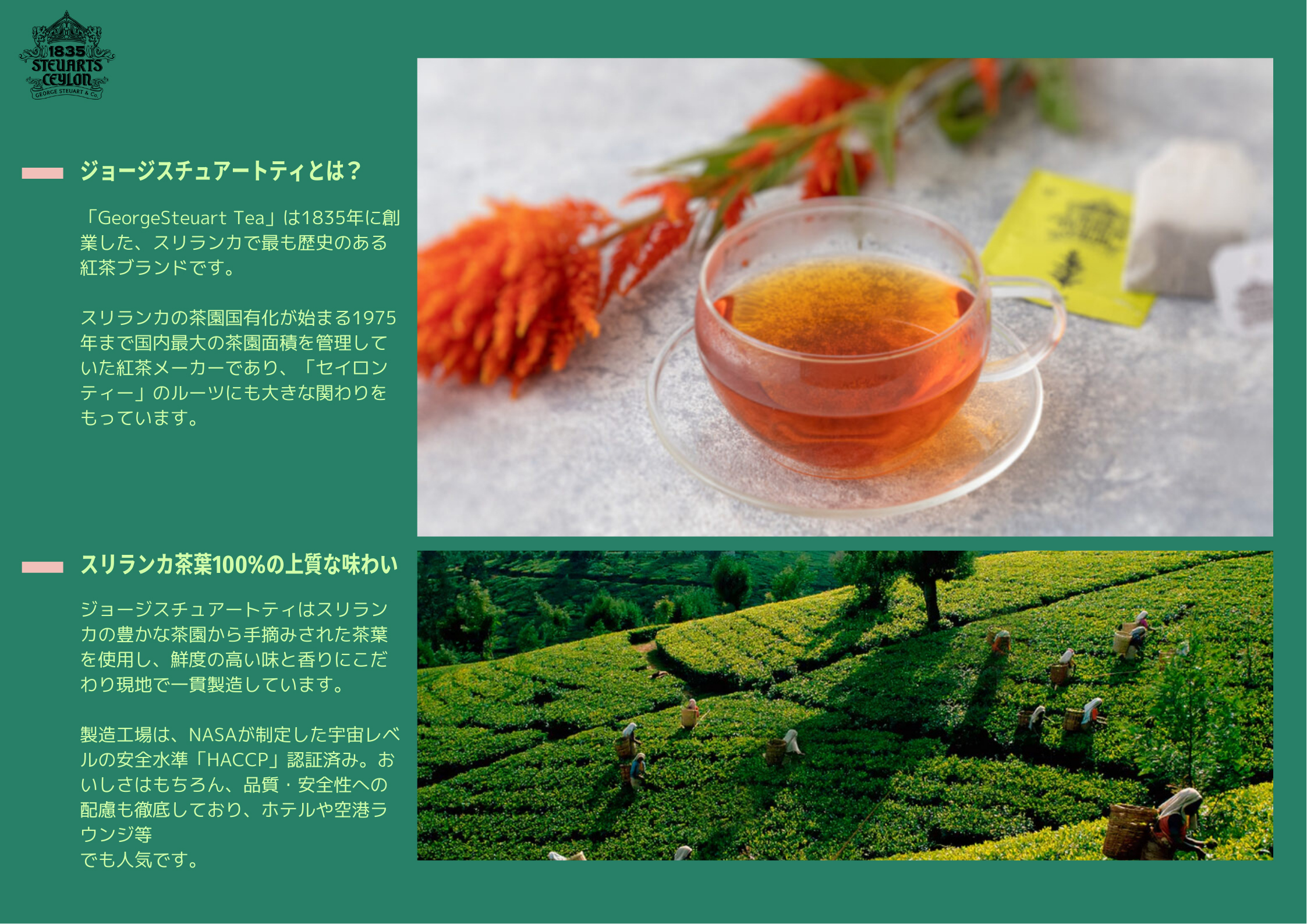 紅茶 ティーバッグ ギフト バラ売り ティー アソート 2g George Steuart Tea アソートティーバッグ フレーバーティー 茶葉 本格 スリランカ 関連画像2
