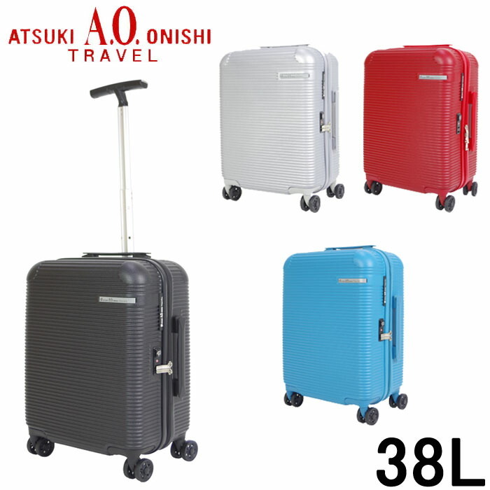 【極美品】ATSUKI ONISHI　キャリーバッグ　スーツケース　機内持ち込み アツキオオニシ スーツケース 機内持ち込み キャリーケース