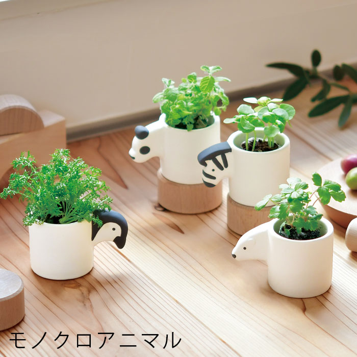 栽培セット 室内 栽培キット モノクロ アニマル 家庭菜園 ミニ 陶器