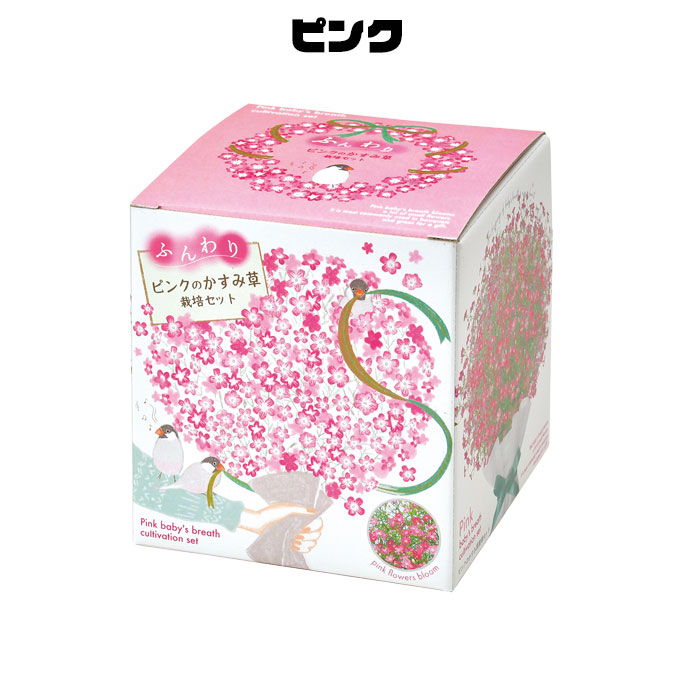 ☆シロ♡さま専用☆　お花モチーフ付きケース 【グリーン】【ピンク】2個セット 栽培キット 室内 かすみ草 ふんわりかすみ草栽培セット 聖新陶芸 栽培