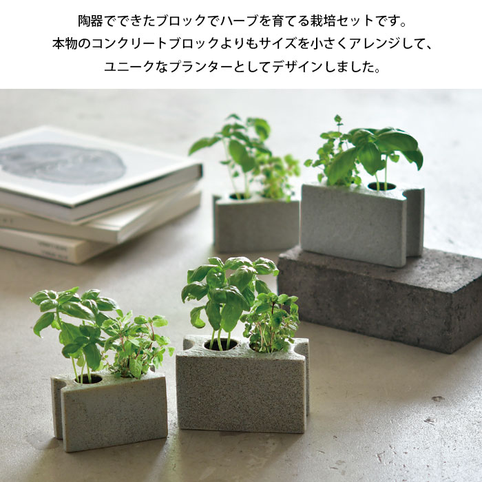 栽培キット ミント 聖新陶芸 プランツブロック S バジル 栽培セット