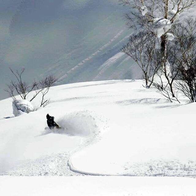 オリジナル解説】SECCA FOREST 146cm セッカ フォレスト 2023-24モデル