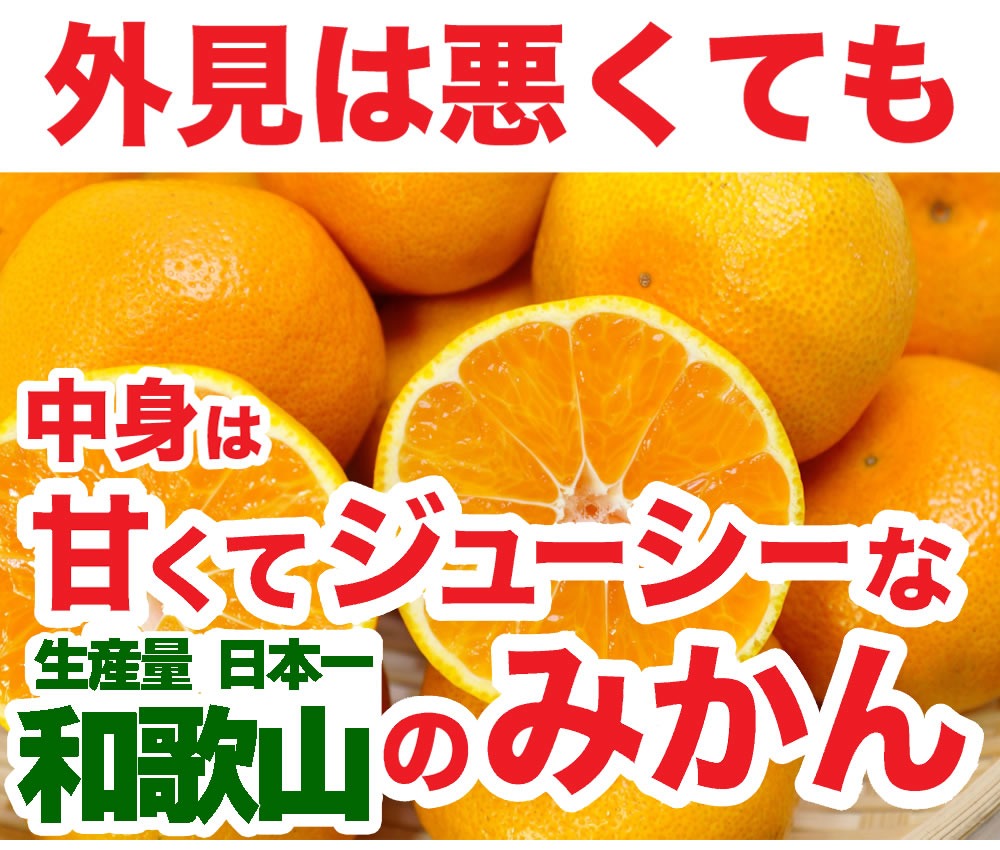 訳あり和歌山みかん 10kg（箱込約10kg） 3S〜3Lサイズ
