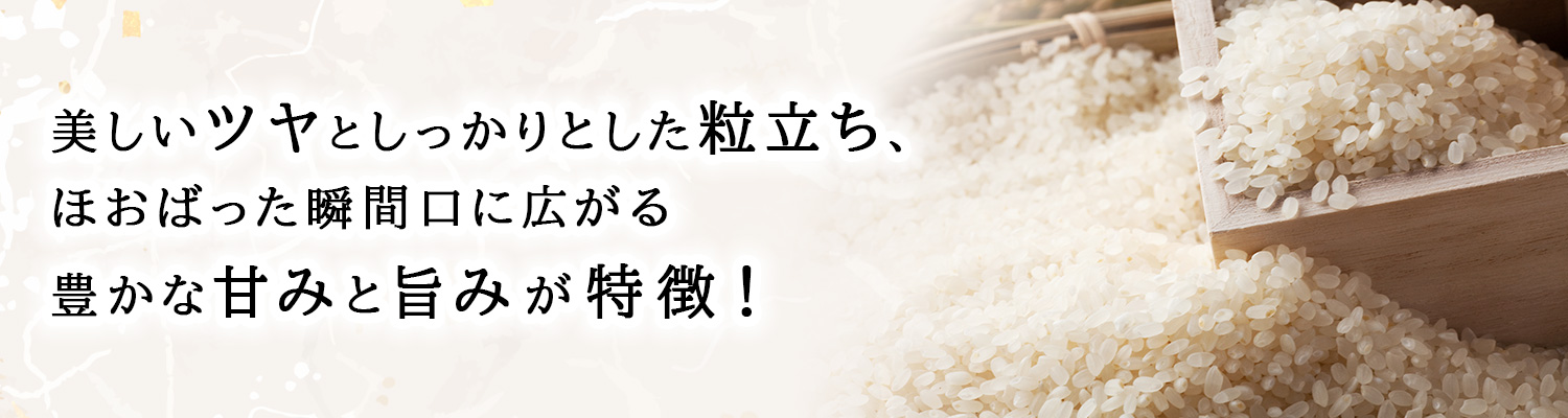 コシヒカリ 令和7年産 島根県奥出雲産仁多米コシヒカリ 白米5kg お米