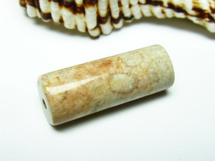 フォッシルコーラル バレル型 ビーズ 化石珊瑚[T155-1442] 2枚目