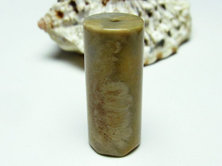 フォッシルコーラル バレル型 ビーズ 化石珊瑚[T155-1483] 1枚目