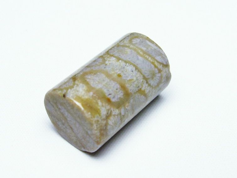 フォッシルコーラル 円柱形 タンブル（穴なし） 化石珊瑚[T155-2145] 3枚目