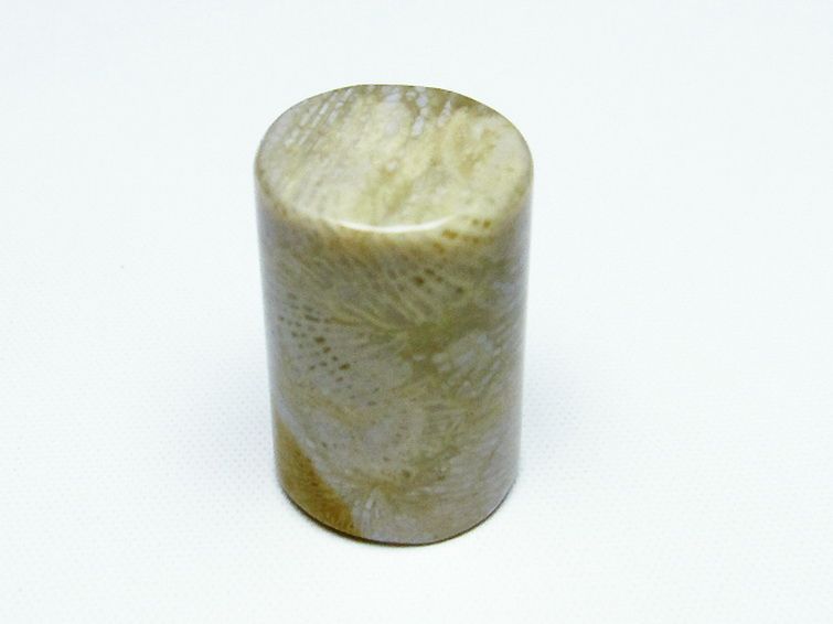 フォッシルコーラル 円柱形 タンブル（穴なし） 化石珊瑚[T155-2166] 1枚目