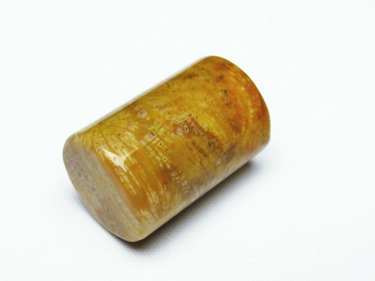 フォッシルコーラル 円柱形 タンブル（穴なし） 化石珊瑚[T155-2169] 3枚目