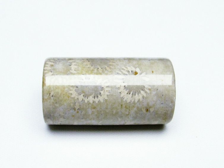 フォッシルコーラル 円柱形 タンブル（穴なし） 化石珊瑚[T155-2241] 2枚目
