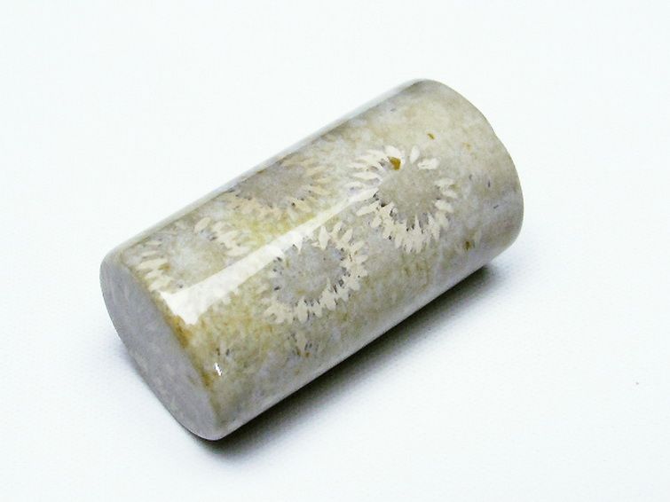 フォッシルコーラル 円柱形 タンブル（穴なし） 化石珊瑚[T155-2241] 3枚目