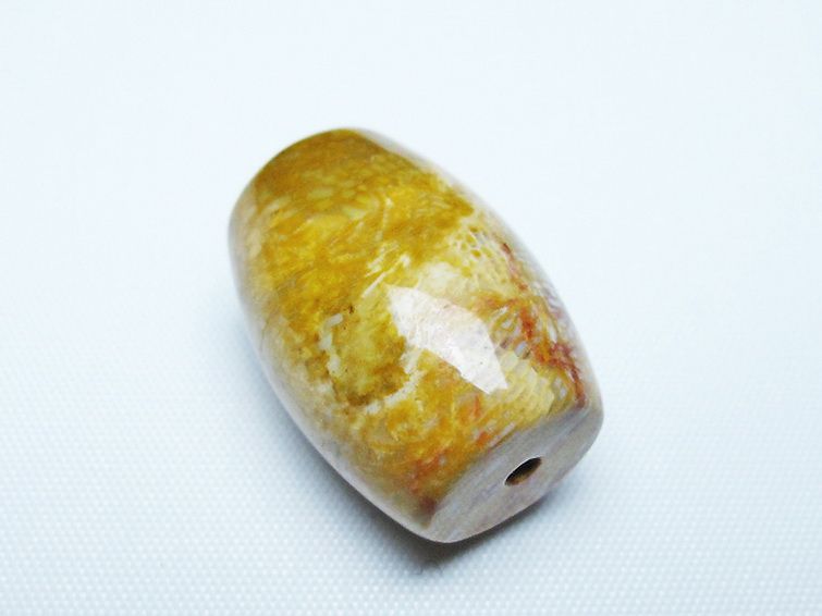 フォッシルコーラル 天珠 化石珊瑚[t155-2277]