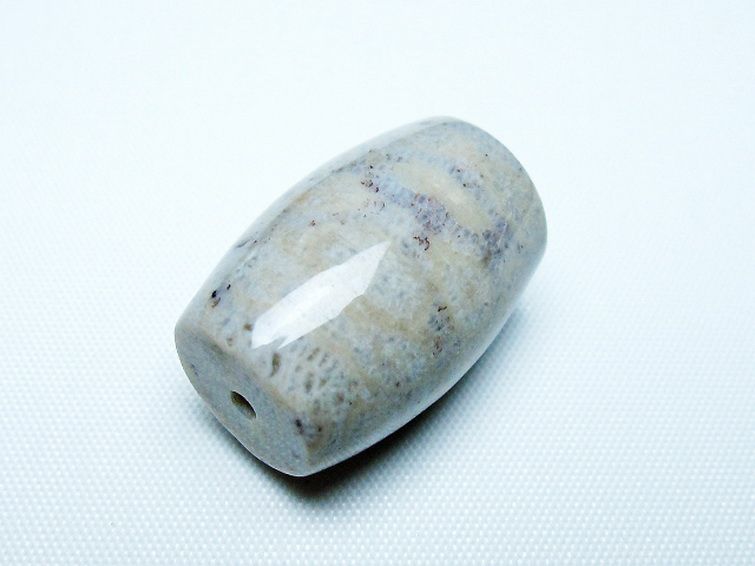 フォッシルコーラル 天珠 化石珊瑚[t155-2320]