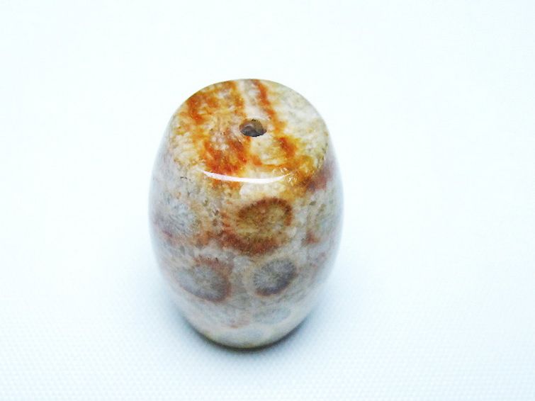 フォッシルコーラル 天珠 化石珊瑚[t155-2395]