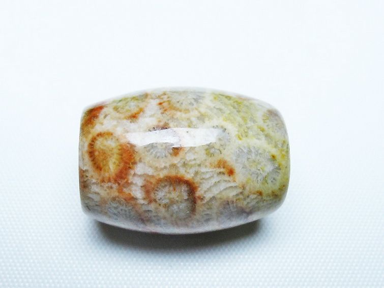 フォッシルコーラル 天珠 化石珊瑚[t155-2395]