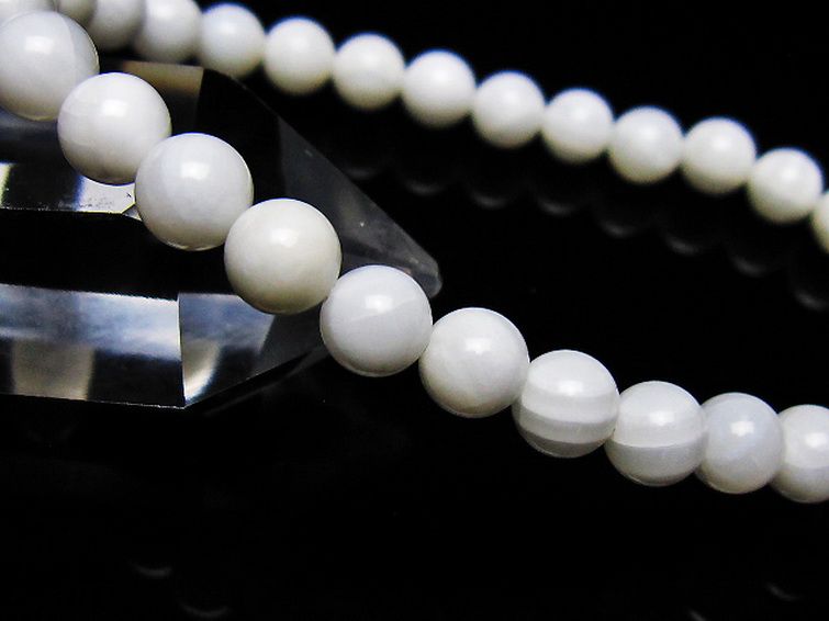 シャコガイ ブレスレット 6mm [t217-1547] 3枚目