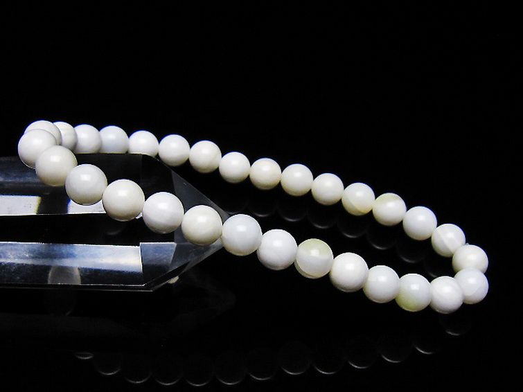 シャコガイ ブレスレット 6mm [t217-1550] 1枚目