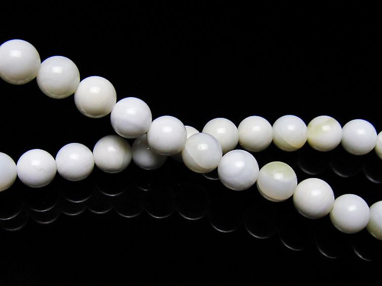 シャコガイ ブレスレット 6mm [t217-1550] 2枚目