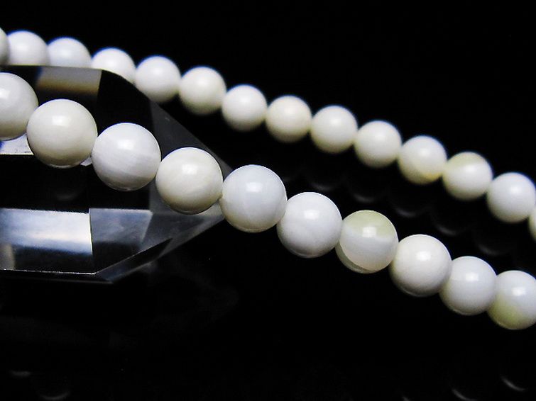 シャコガイ ブレスレット 6mm [t217-1550] 3枚目