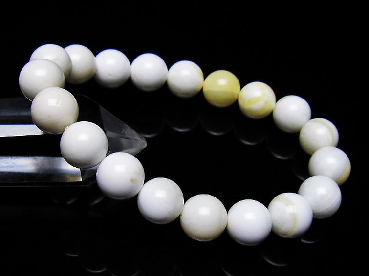 シャコガイ ブレスレット 10mm [t217-1554] 1枚目