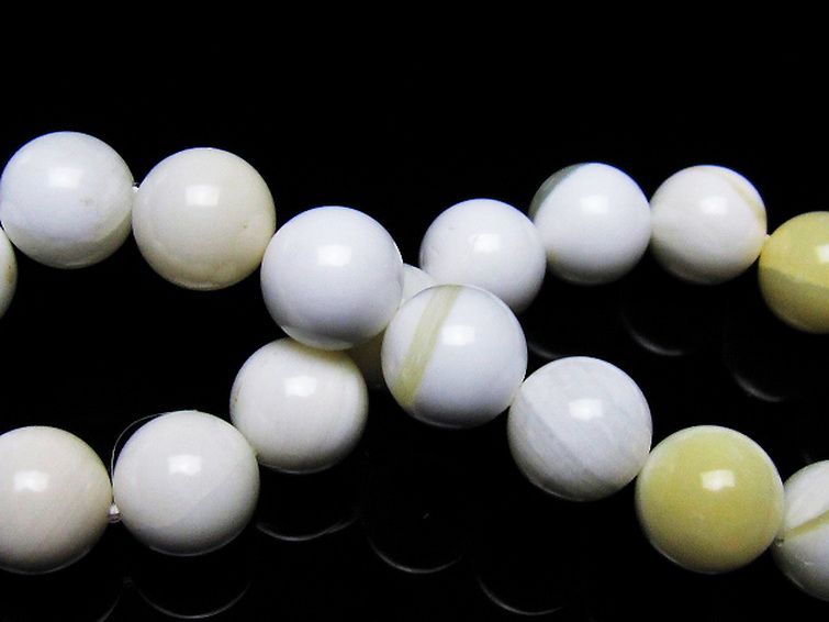 シャコガイ ブレスレット 10mm [t217-1554] 2枚目