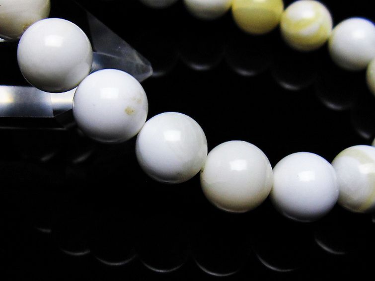 シャコガイ ブレスレット 10mm [t217-1554] 3枚目