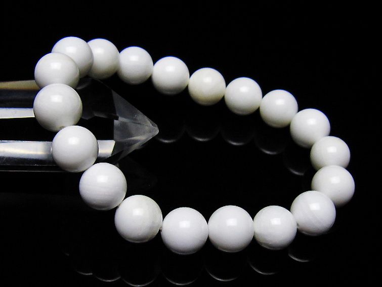 シャコガイ ブレスレット 10mm [t217-1558] 1枚目