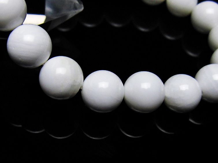 シャコガイ ブレスレット 10mm [t217-1558] 3枚目