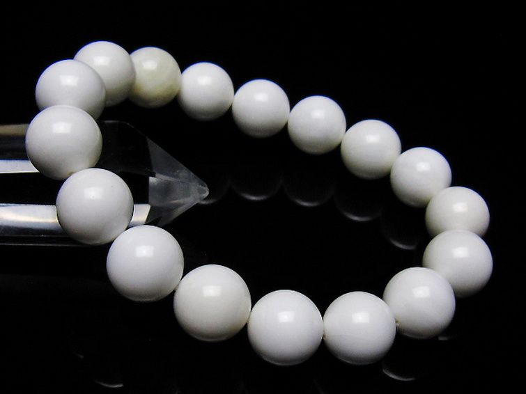 シャコガイ ブレスレット 12mm [t217-1564] 1枚目