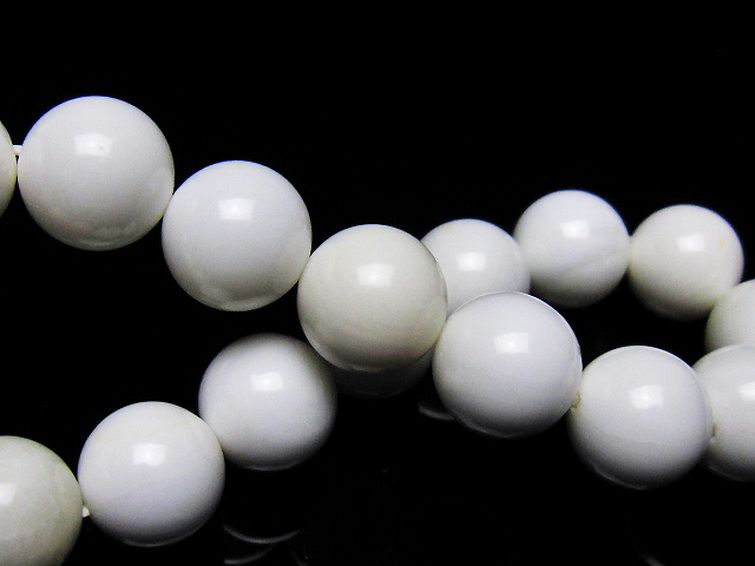 シャコガイ ブレスレット 12mm [t217-1564] 2枚目