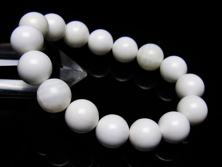 シャコガイ ブレスレット 12mm [t217-1567] 1枚目