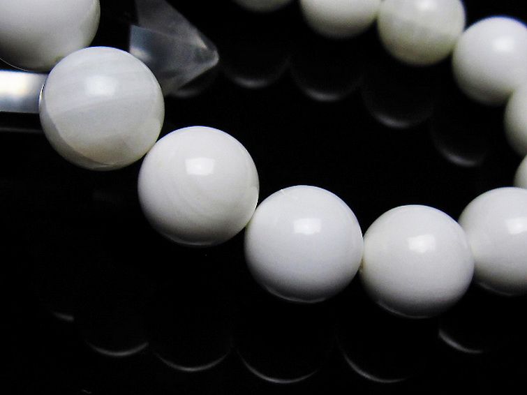 シャコガイ ブレスレット 12mm [t217-1567] 3枚目