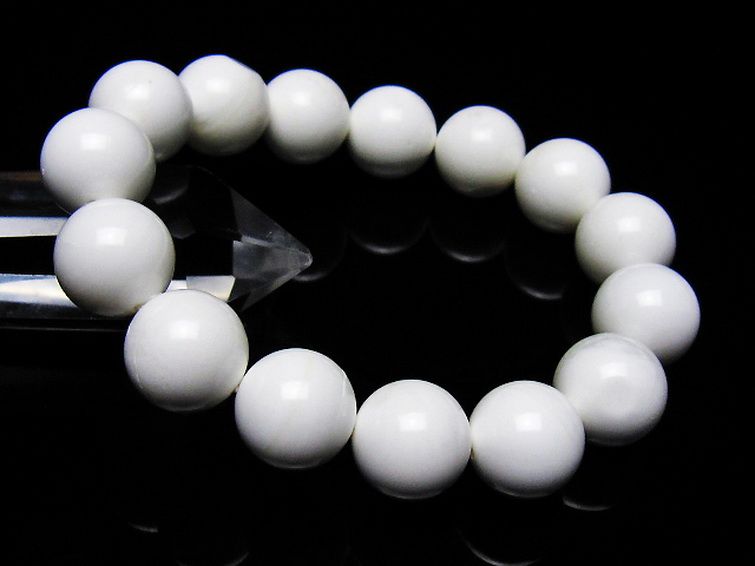 シャコガイ ブレスレット 14mm [t217-1573] 1枚目