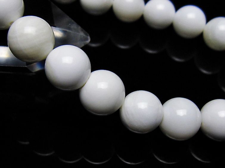 シャコガイ ブレスレット 11mm [t217-1578] 3枚目