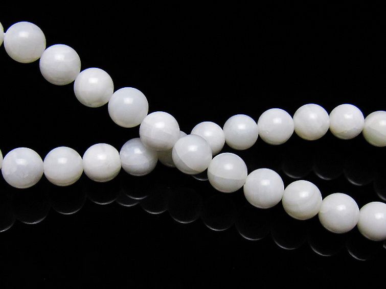 シャコガイ ブレスレット 6mm [t217-1603] 2枚目