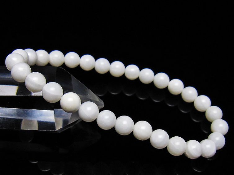 シャコガイ ブレスレット 6mm [t217-1605] 1枚目