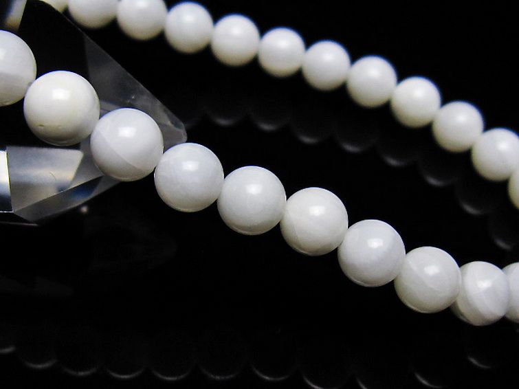 シャコガイ ブレスレット 6mm [t217-1605] 3枚目