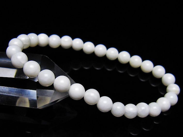 シャコガイ ブレスレット 6mm [t217-1608] 1枚目