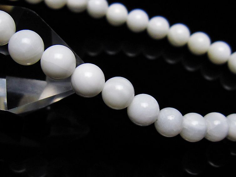 シャコガイ ブレスレット 6mm [t217-1608] 3枚目