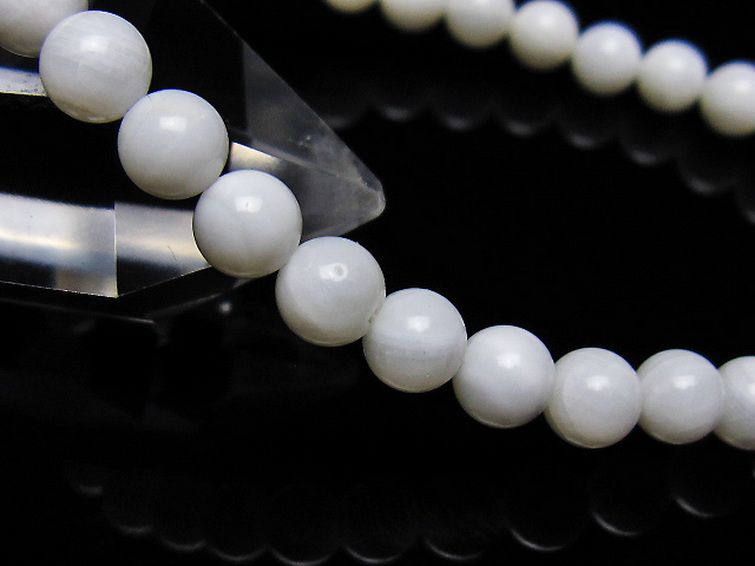 シャコガイ ブレスレット 6mm [t217-1611] 3枚目