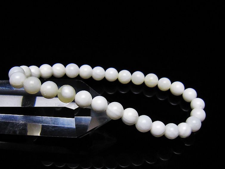 シャコガイ ブレスレット 6mm [t217-1615] 1枚目