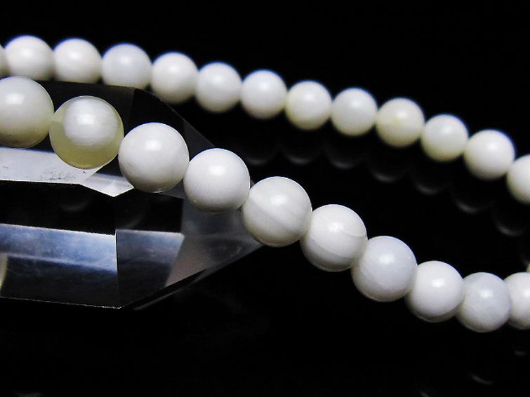 シャコガイ ブレスレット 6mm [t217-1615] 3枚目