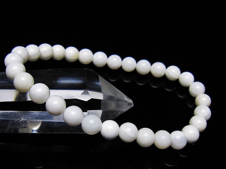 シャコガイ ブレスレット 6mm [t217-1616] 1枚目