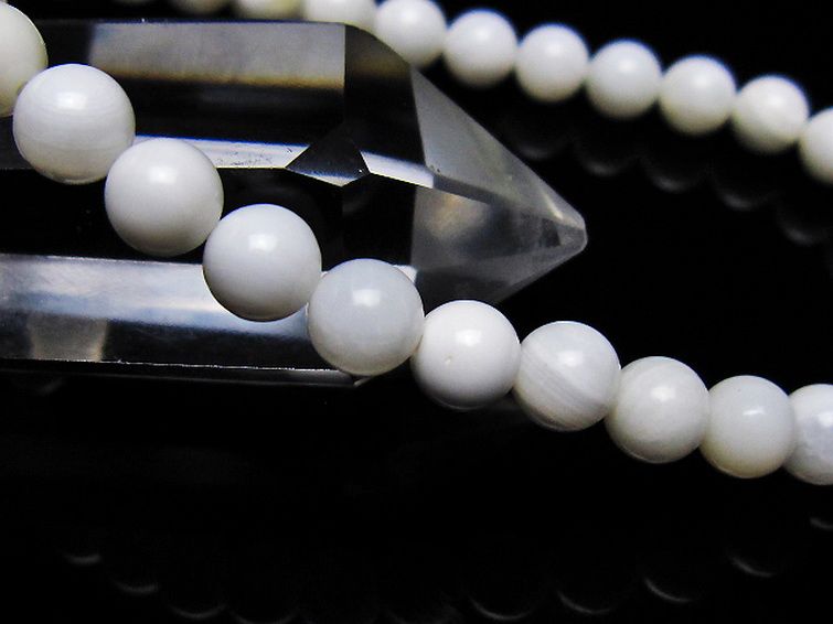 シャコガイ ブレスレット 6mm [t217-1616] 3枚目