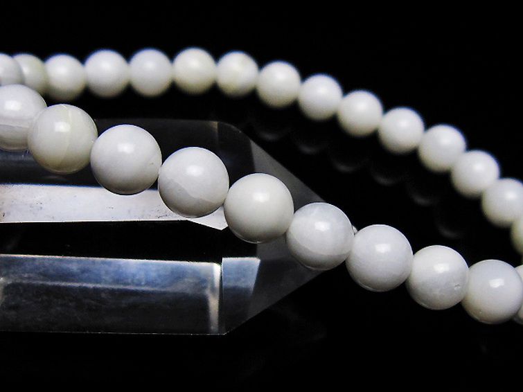 シャコガイ ブレスレット 6mm [t217-1620] 3枚目