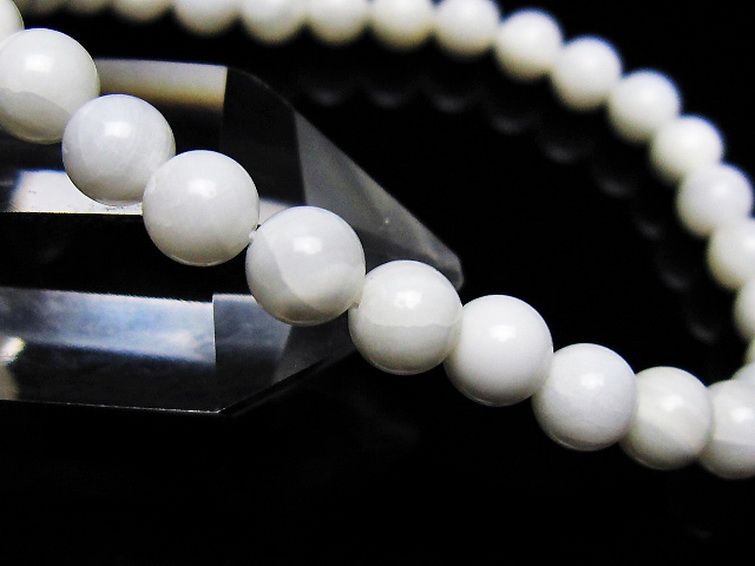 シャコガイ ブレスレット 6mm [t217-1623] 3枚目