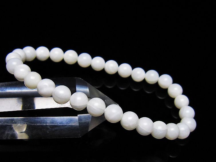 シャコガイ ブレスレット 6mm [t217-1627] 1枚目