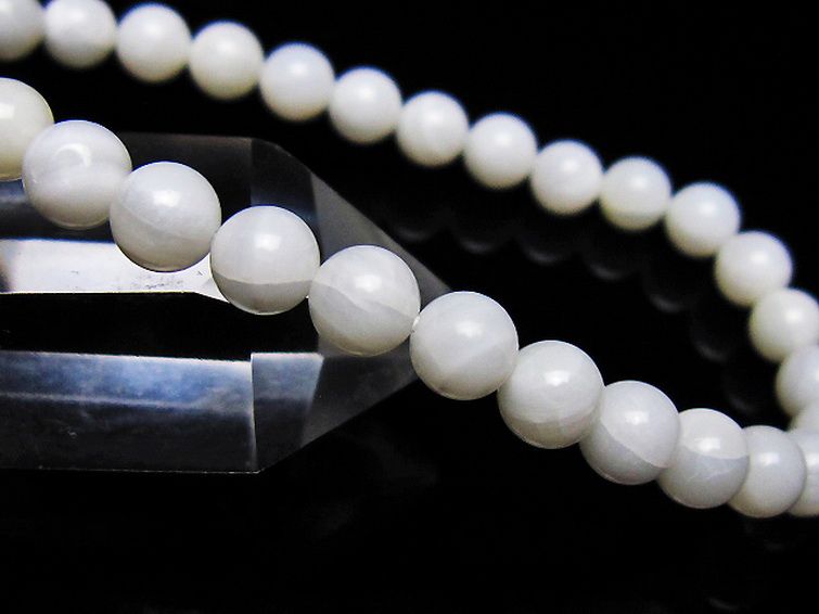 シャコガイ ブレスレット 6mm [t217-1627] 3枚目